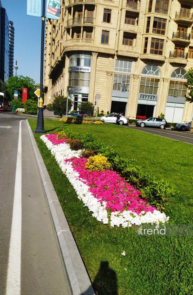 Baku blossoms with flowers ahead of WUF13 conference (PHOTO)
