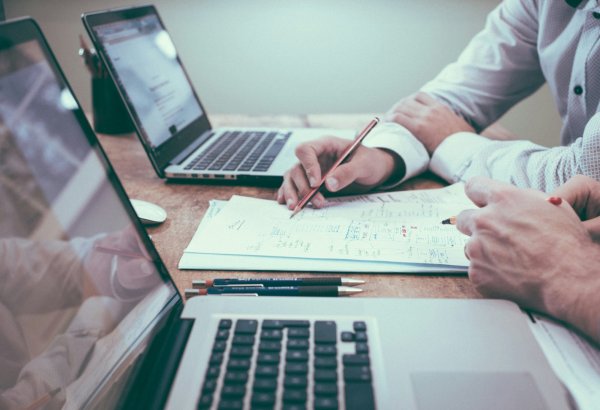 Tashkent leads Uzbekistan by number of audit firms in 2025