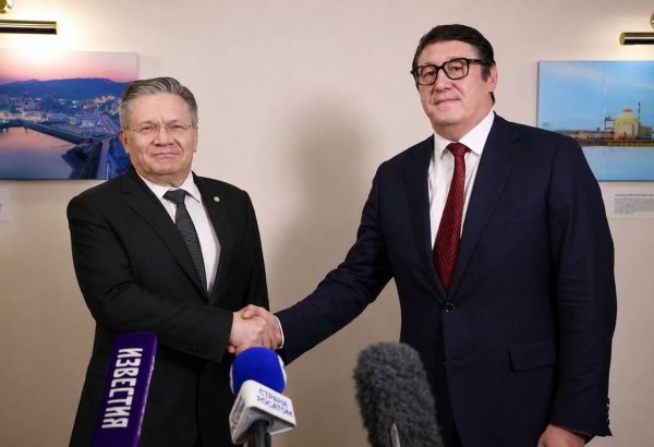 Kazakhstan, Russia's Rosatom discuss implementation of Balkhash NPP project