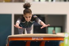 Azerbaijani gymnasts win medals at tournament in Baku (PHOTO)