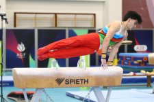 Azerbaijani gymnasts win medals at tournament in Baku (PHOTO)