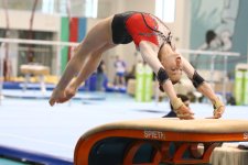 Azerbaijani gymnasts win medals at tournament in Baku (PHOTO)