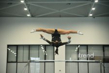 Azerbaijani gymnasts win medals at tournament in Baku (PHOTO)