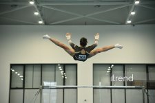 Azerbaijani gymnasts win medals at tournament in Baku (PHOTO)
