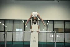 Azerbaijani gymnasts win medals at tournament in Baku (PHOTO)