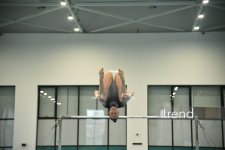 Azerbaijani gymnasts win medals at tournament in Baku (PHOTO)