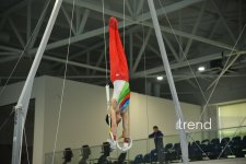Azerbaijani gymnasts win medals at tournament in Baku (PHOTO)