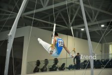 Azerbaijani gymnasts win medals at tournament in Baku (PHOTO)
