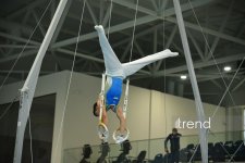 Azerbaijani gymnasts win medals at tournament in Baku (PHOTO)