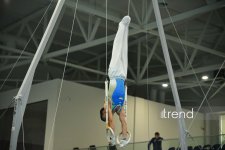 Azerbaijani gymnasts win medals at tournament in Baku (PHOTO)