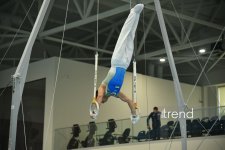 Azerbaijani gymnasts win medals at tournament in Baku (PHOTO)