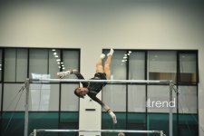 Azerbaijani gymnasts win medals at tournament in Baku (PHOTO)
