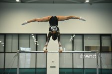 Azerbaijani gymnasts win medals at tournament in Baku (PHOTO)