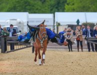 Royal Windsor Horse Show 2026 kicks off (PHOTO/VIDEO)
