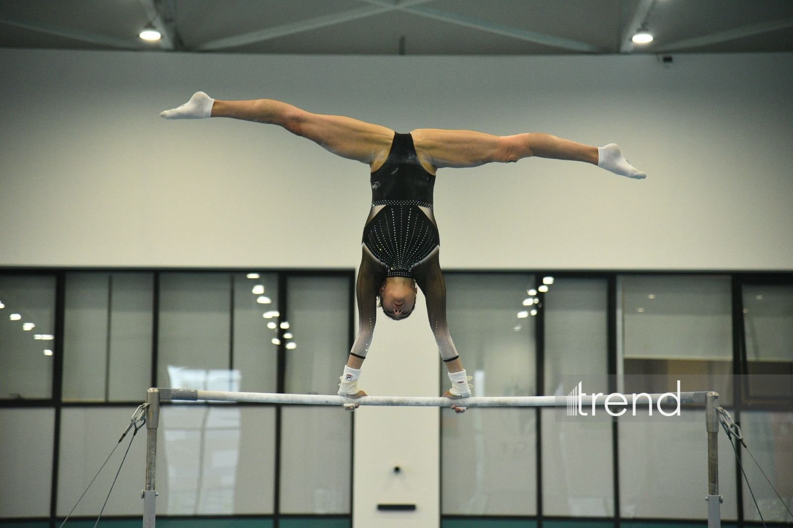 Azerbaijani gymnasts win medals at tournament in Baku (PHOTO)