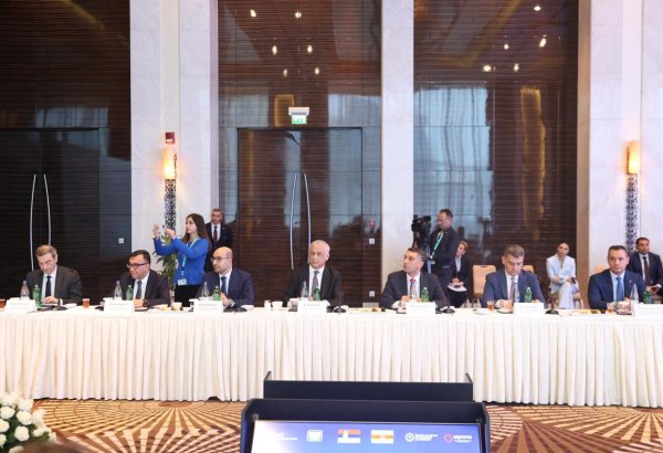 Serbian President meets with Azerbaijani business representatives (PHOTO)