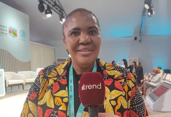 Baku serves as international model for other cities - South African official