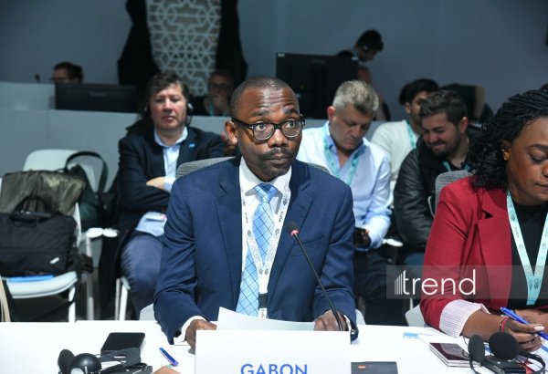 WUF13 serves as important platform for co-op in urban planning and housing - Gabonese minister