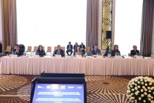 Serbian President meets with Azerbaijani business representatives (PHOTO)