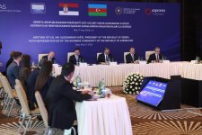 Serbian President meets with Azerbaijani business representatives (PHOTO)