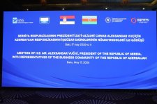 Serbian President meets with Azerbaijani business representatives (PHOTO)