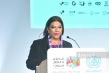 World Assembly of Local and Regional Governments within WUF13 concludes in Baku (PHOTO)