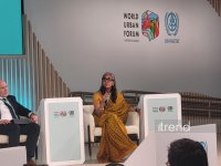 Panel session on "Housing for Urban Prosperity and Opportunities for All" within WUF13 concludes in Baku (PHOTO)