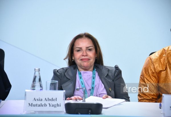 Accessible milieau stands basis for realizing disabled people's rights - Jordanian NGO