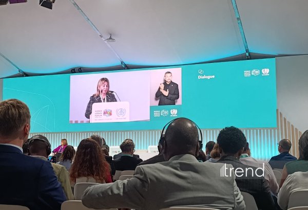 Azerbaijan sees climate resilience and inclusive urbanization among national priorities