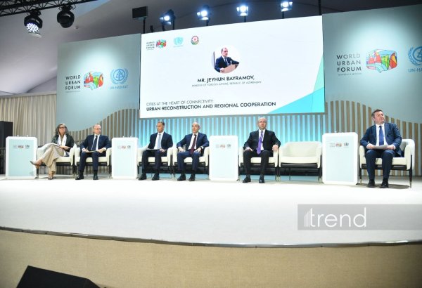 Azerbaijan's efforts to transform liberated areas into dev't centers face mine threat - FM
