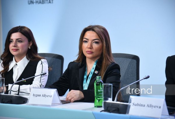 Azerbaijan highlights NGOs' key role in protecting rights of people with disabilities