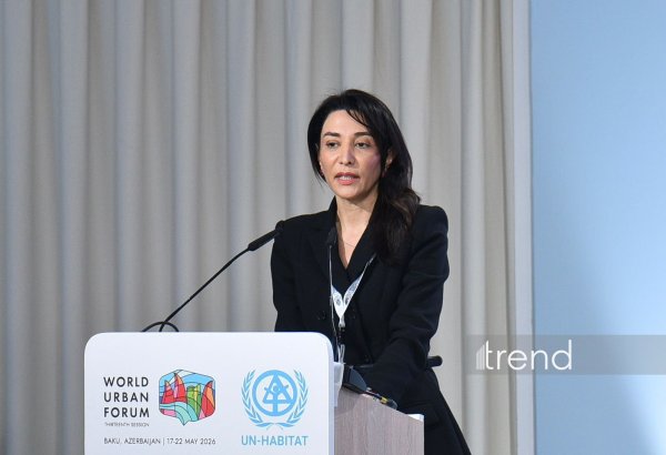 Azerbaijani Ombudsperson calls inclusive cities basis of equal opportunities for people with disabilities