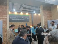 WUF13 spotlights Punjab Province with pavilion opening in Baku (PHOTO)