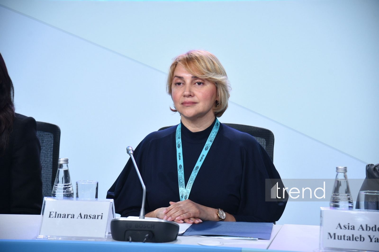 WUF13 in Baku hosts event on 'Inclusive Cities and Independent Living for Persons with Disabilities' (PHOTO)