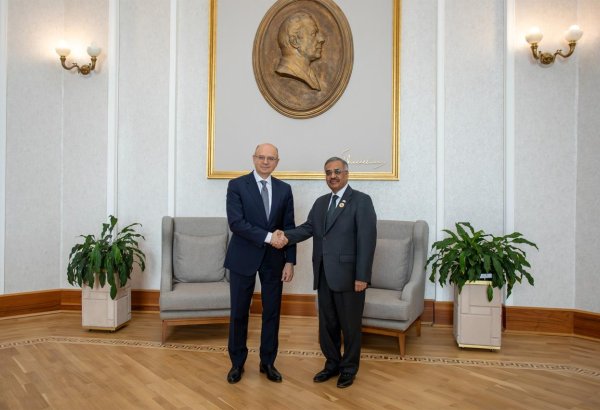 Azerbaijan strengthens ties with D-8 through high-level meeting