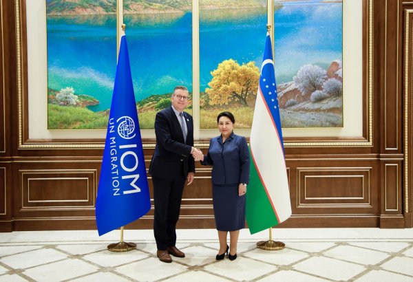 Uzbek Senate Chair holds talks with IOM Regional Director on migration
