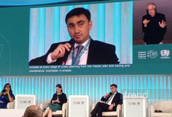 Azerbaijan integrates nature-based solutions into urban development - deputy minister