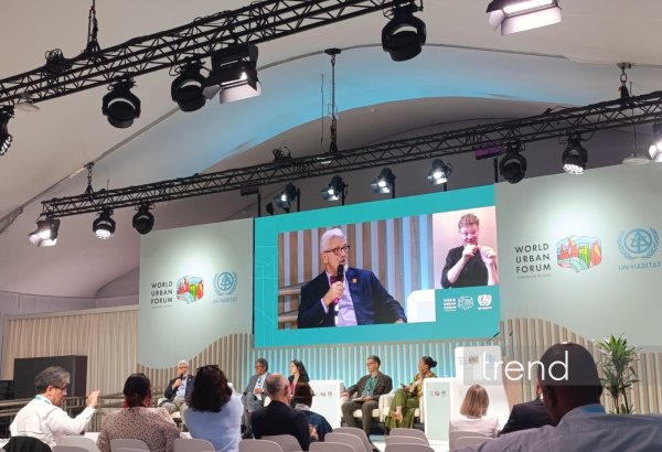 Sustainable development of Amazon remains impossible without urbanization - official