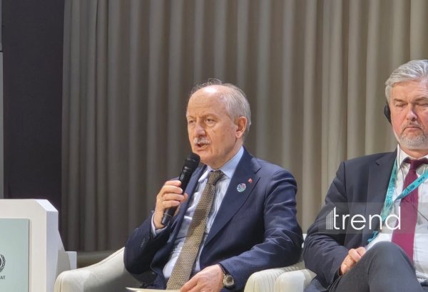 Türkiye aims to raise waste recycling rate to 70% by 2053 - deputy minister