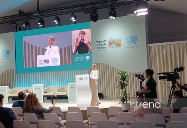 Investments in land restoration yield economic, social, and environmental benefits - UN official