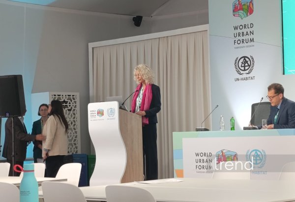 Without institutional capacity, recovery remains fragmented - German expert