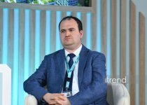 Forum on urban air quality and green infrastructure within WUF13 wraps up in Baku (PHOTO)