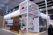 Most creative WUF13 pavilions in Baku: city of future under domes and screens (PHOTO)