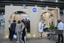 Most creative WUF13 pavilions in Baku: city of future under domes and screens (PHOTO)