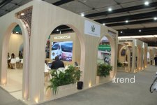 Most creative WUF13 pavilions in Baku: city of future under domes and screens (PHOTO)