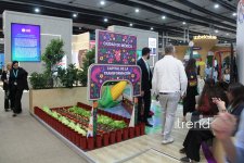 Most creative WUF13 pavilions in Baku: city of future under domes and screens (PHOTO)