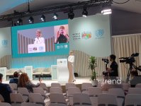 Session on “Stories from Climate Frontlines” within WUF13 concludes in Baku (PHOTO)
