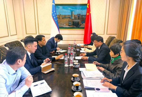 Uzbekistan, China explore expanded partnership in livestock dev't and innovation