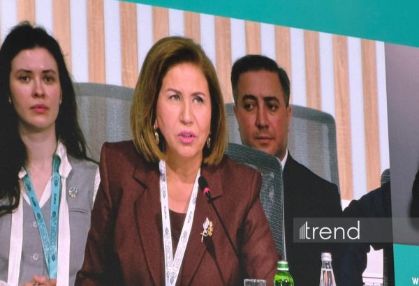 Azerbaijan bets on safer, more supportive future for children’s dev't - official