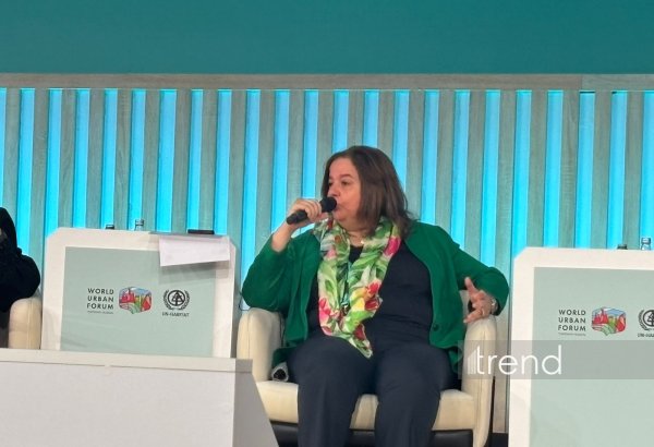Egyptian official stresses need for international co-op in urban sustainability